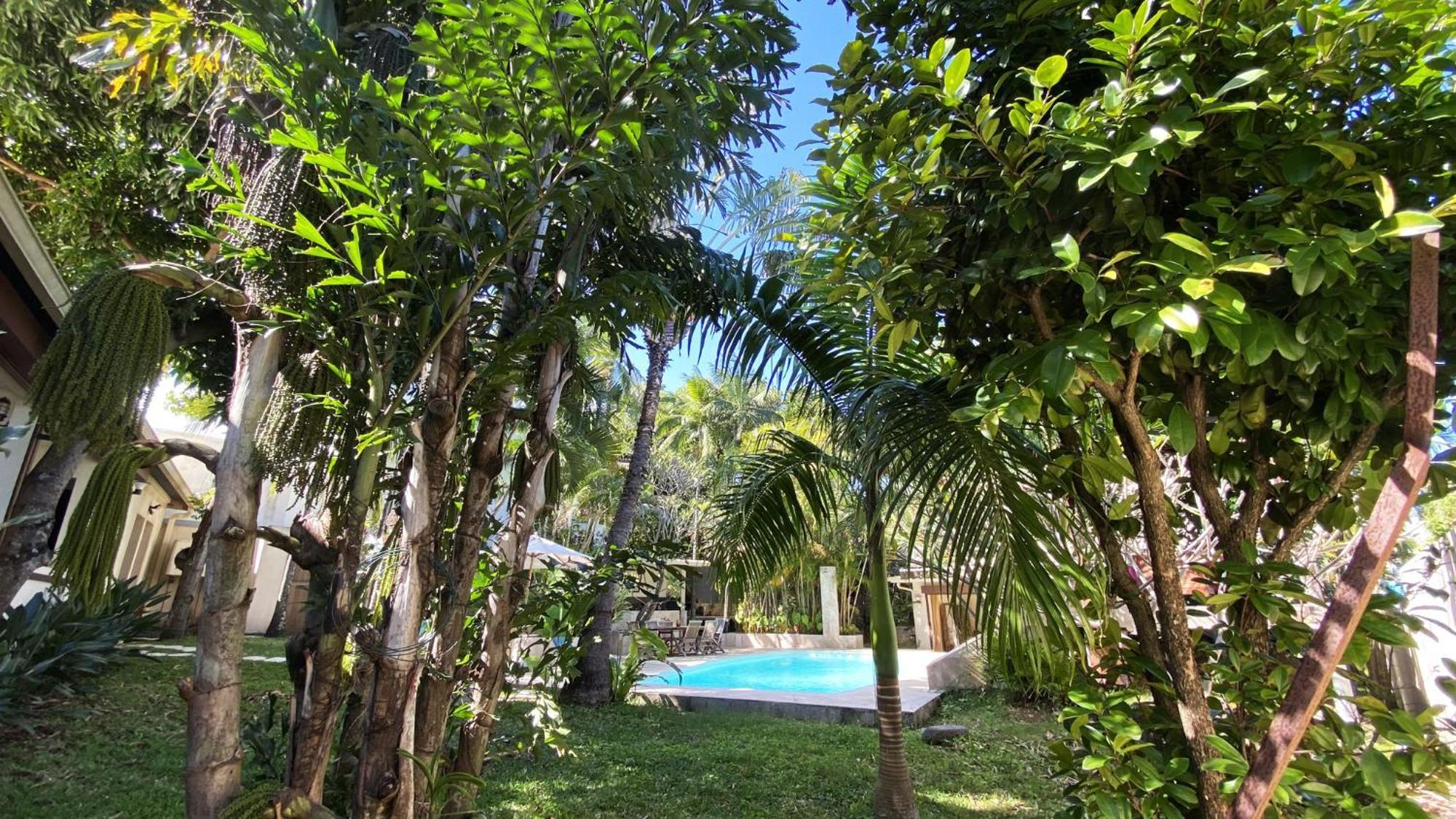 Coliver - Coliving A La Reunion Saint Pierre Exterior foto