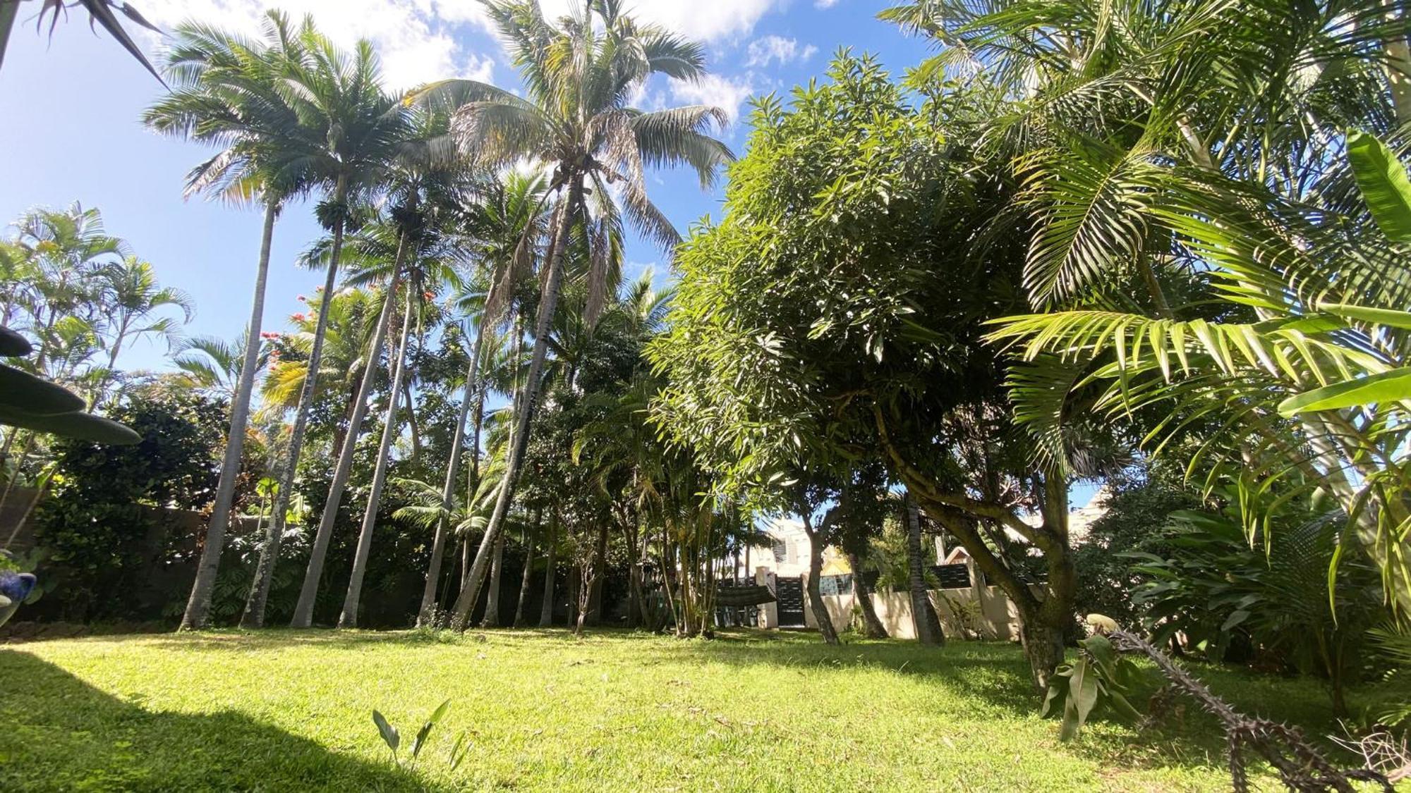 Coliver - Coliving A La Reunion Saint Pierre Exterior foto